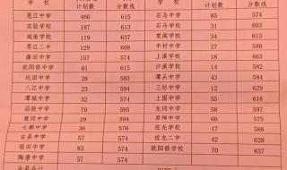 南宁普通高中录取分数线最低分 中考高中录取分数线