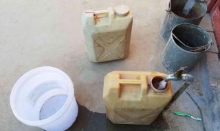 新搬来邻居家的麦子