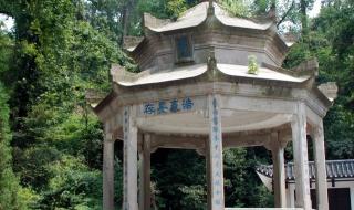 青山处处埋忠骨的全诗 青山处处埋忠骨课文