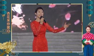 桃花红杏花白歌曲柳石明徒弟 桃花红杏花白原唱