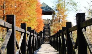 什么是观念不合 三观不合都是哪三观