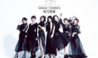 Kara个人组合资料 kara组合mr