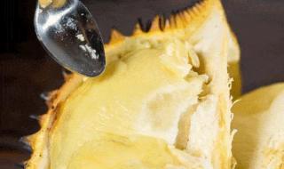 为什么今年榴莲不降价 榴莲大降价30元一斤