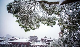 洛阳下雪公交车还开吗 洛阳这些地方下雪了
